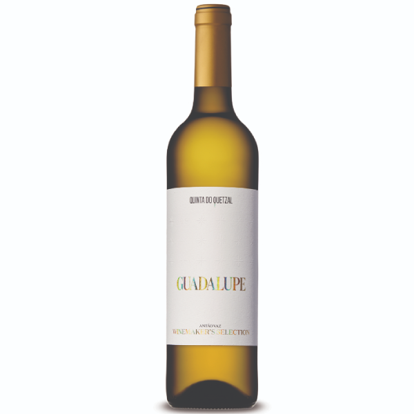 Guadalupe – Winemaker´s Selection – Branco